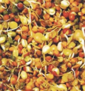 अंकुरित आहाराने त्वचा निराेगी राहील